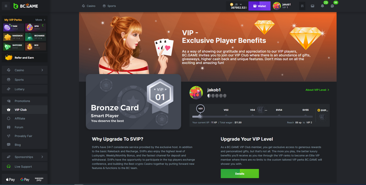 The Upward Trajectory Of Cryptos In Gambling: Which Are The Drivers Of Crypto Gambling Growth?