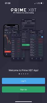 Unlocking the Potential of PrimeXBT Forex Strategies and Insights Unlocking the Potential of PrimeXBT Forex Strategies and Insights